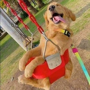 Meet your Posher, Jen